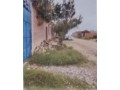 hermoso-terreno-a-la-venta-en-morros-blancos-tarija-small-1