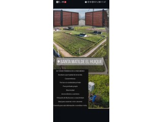 Terreno en Condominio Santa Matilde, El Huique  Luz, Pozo Propio y Acceso Directo a Carretera