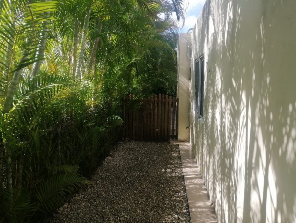 amplia-casa-de-3-habitaciones-servicio-en-ciudad-la-palma-big-1