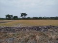 terreno-en-venta-lomas-de-sargentillo-small-1