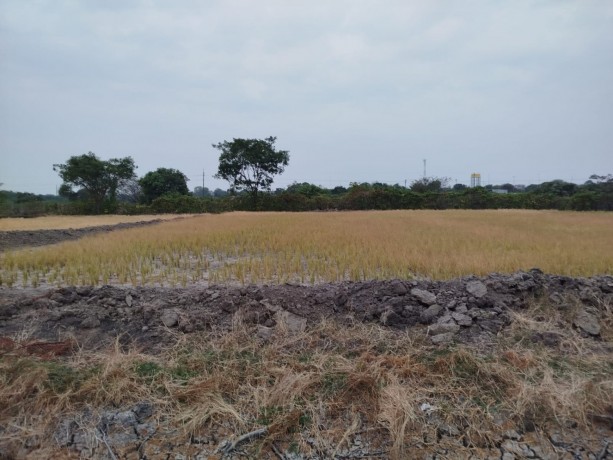 terreno-en-venta-lomas-de-sargentillo-big-1