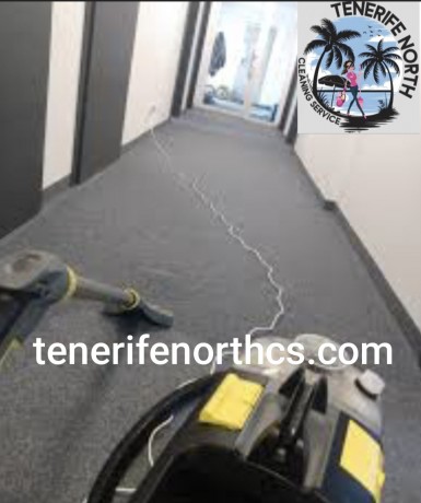 cleaning-service-limpieza-de-sofas-sillas-y-alfombras-tenerife-north-cleanig-service-big-4