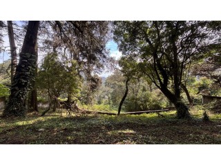 Lote en Venta, Granjas Jardín El Alto, Santiago SAC.