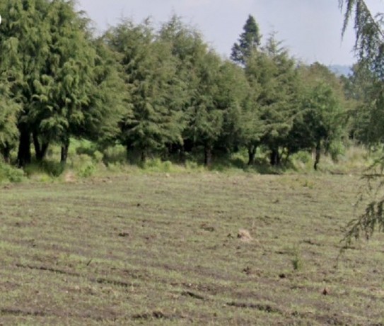 terreno-en-carretera-xalatlacoel-ajusco-tu-refugio-natural-big-2