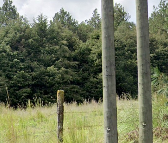 terreno-en-carretera-xalatlacoel-ajusco-tu-refugio-natural-big-1