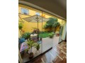 vendo-casa-2-pisos-140m2-terraza-y-jardin-small-1