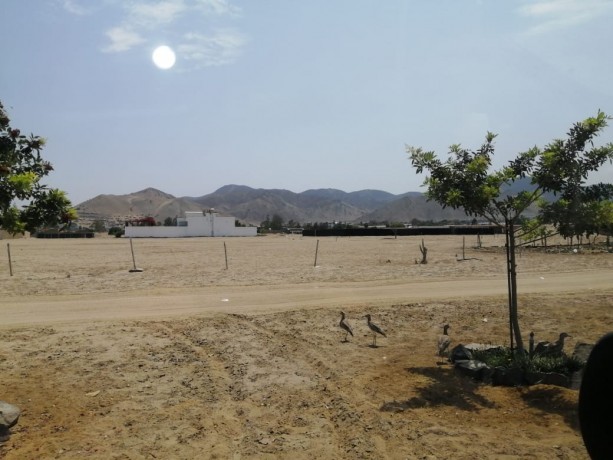 ocasion-venta-de-terreno-en-chilca-financiamiento-directo-big-4