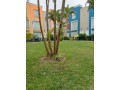 venta-de-casa-en-av-las-gaviotas-chorrillos-small-0