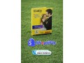 cialis-tablets-online-delivery-in-pakistan-small-0
