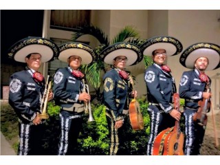 Mariachi MI Tierra